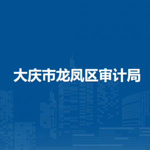 大慶市龍鳳區(qū)審計局各部門職責及聯(lián)系電話