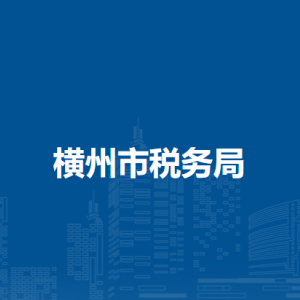 橫州市稅務局辦稅服務廳辦公時間地址及納稅服務電話