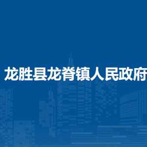 龍勝縣龍脊鎮(zhèn)人民政府各部門負(fù)責(zé)人和聯(lián)系電話