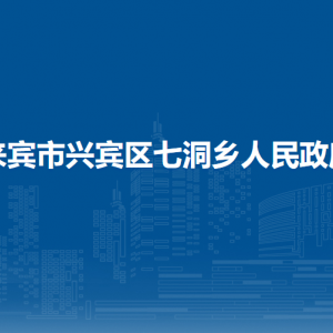 來賓市興賓區(qū)七洞鄉(xiāng)政府各部門負(fù)責(zé)人和聯(lián)系電話