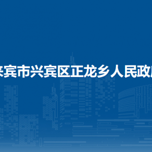 來賓市興賓區(qū)正龍鄉(xiāng)政府各部門負責人和聯(lián)系電話