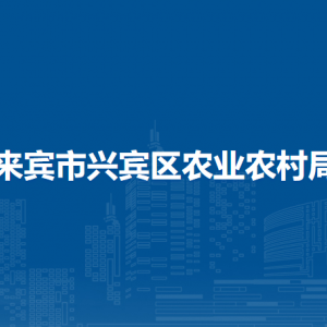 來賓市興賓區(qū)農(nóng)業(yè)農(nóng)村局各部門負(fù)責(zé)人和聯(lián)系電話