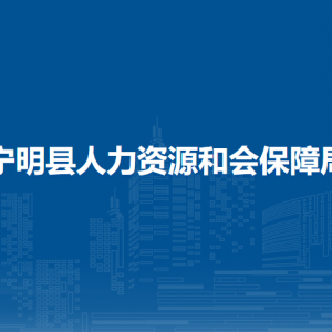 寧明縣人力資源和社會保障局各部門聯(lián)系電話