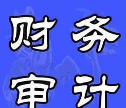 2017財(cái)務(wù)審計(jì)報(bào)告模板