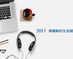 2017年中國(guó)跨境B2C生態(tài)鏈研究報(bào)告（于建科）