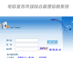 電信業(yè)務市場綜合管理信息系統(tǒng)入口