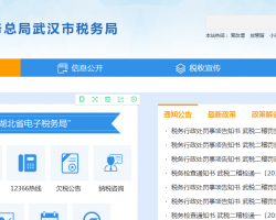 武漢市蔡甸區(qū)稅務(wù)局