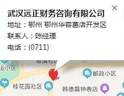 武漢遠(yuǎn)正財(cái)務(wù)咨詢有限公司