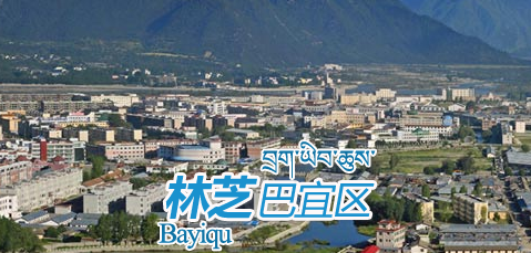 林芝市巴宜區(qū)統(tǒng)計(jì)局