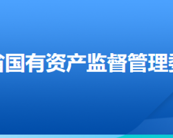 河北省人民政府國有資產(chǎn)監(jiān)督管理委員會