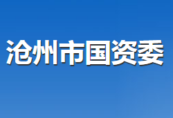 滄州市人民政府國(guó)有資產(chǎn)監(jiān)