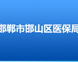 邯鄲市邯山區(qū)醫(yī)療保障局