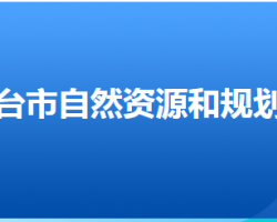 邢臺(tái)市自然資源和規(guī)劃局