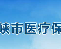 三門峽市醫(yī)療保障局