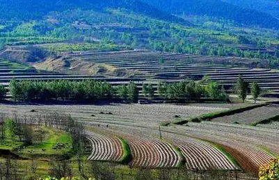 平泉市林業(yè)和草原局