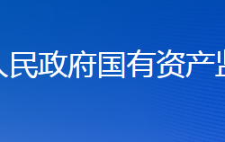 婁底市人民政府國有資產(chǎn)監(jiān)