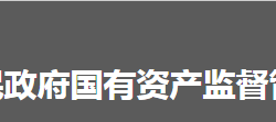 懷化市人民政府國有資產(chǎn)監(jiān)