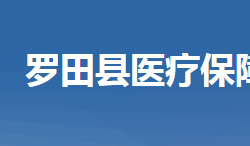 羅田縣醫(yī)療保障局