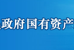 鄂州市人民政府國(guó)有資產(chǎn)監(jiān)