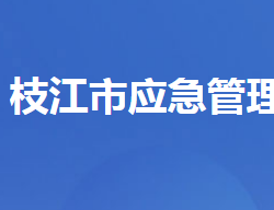 枝江市應(yīng)急管理局