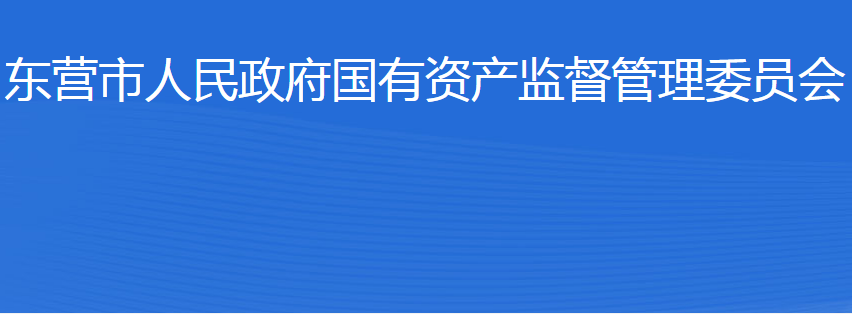 東營(yíng)市人民政府國(guó)有資產(chǎn)監(jiān)督管理委員會(huì)