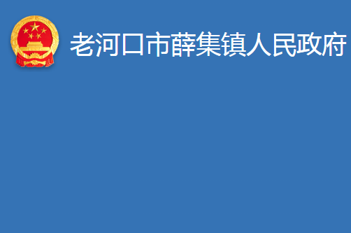 老河口市薛集鎮(zhèn)人民政府