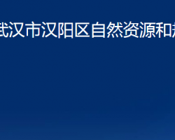 武漢市漢陽(yáng)區(qū)自然資源和規(guī)