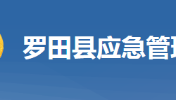 羅田縣應(yīng)急管理局