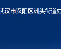 武漢市漢陽(yáng)區(qū)洲頭街道辦事