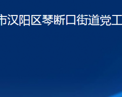 武漢市漢陽區(qū)琴斷口街道黨工委、辦事處政務服務網(wǎng)