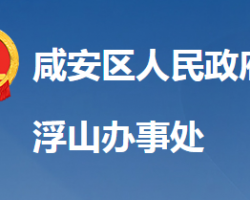 咸寧市咸安區(qū)浮山街道辦事處