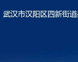 武漢市漢陽區(qū)四新街道辦事處政務服務網(wǎng)