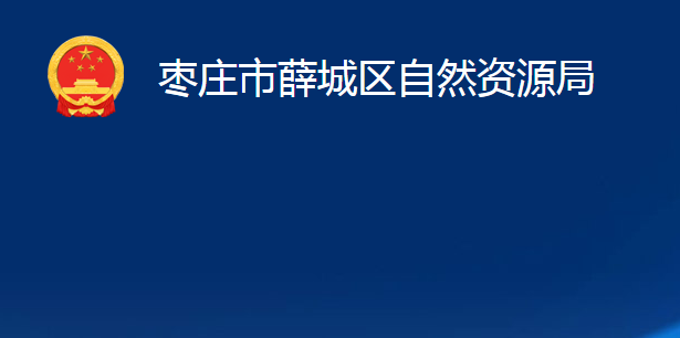 棗莊市薛城區(qū)自然資源局