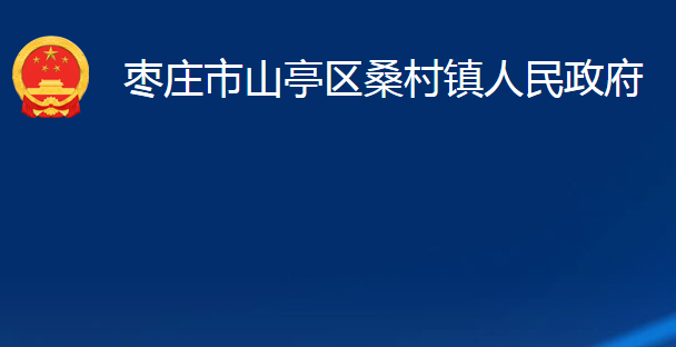 棗莊市山亭區(qū)桑村鎮(zhèn)人民政府