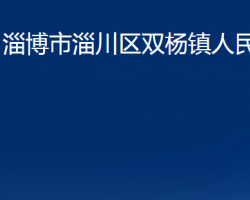 淄博市淄川區(qū)雙楊鎮(zhèn)人民政府