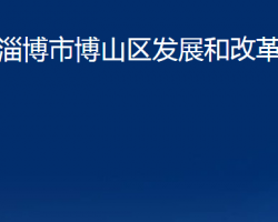 淄博市博山區(qū)發(fā)展和改革局