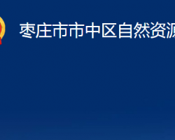 棗莊市市中區(qū)自然資源局