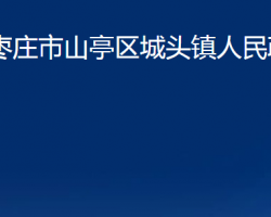 棗莊市山亭區(qū)城頭鎮(zhèn)人民政府