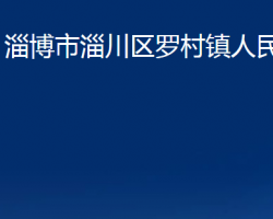 淄博市淄川區(qū)羅村鎮(zhèn)人民政府