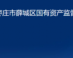 棗莊市薛城區(qū)國(guó)有資產(chǎn)監(jiān)督