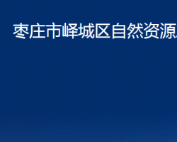 棗莊市嶧城區(qū)自然資源局