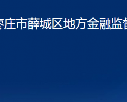 棗莊市薛城區(qū)地方金融監(jiān)督管理局