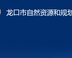 龍口市自然資源和規(guī)劃局