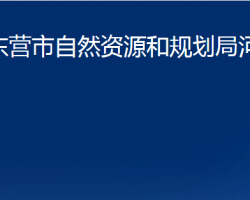 東營市自然資源和規(guī)劃局河