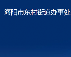 海陽市東村街道辦事處政務服務網(wǎng)入口