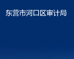 東營市河口區(qū)審計局