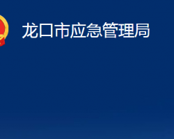 龍口市應(yīng)急管理局