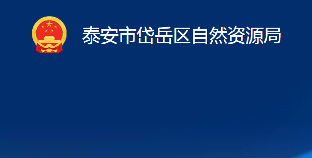 泰安市岱岳區(qū)自然資源局