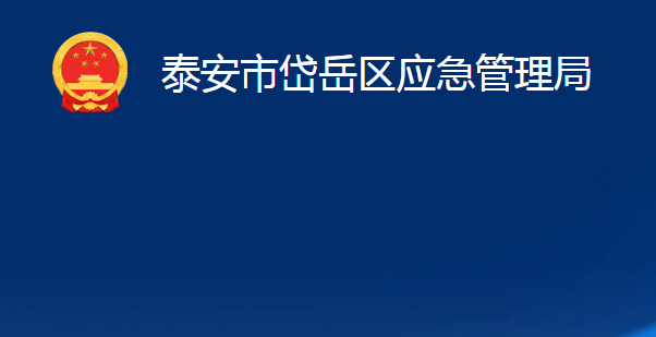 泰安市岱岳區(qū)應(yīng)急管理局