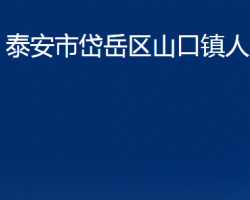 泰安市岱岳區(qū)山口鎮(zhèn)人民政府